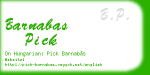 barnabas pick business card