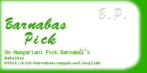 barnabas pick business card